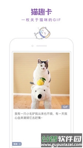 一日猫app截图2