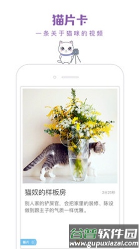 一日猫app截图3