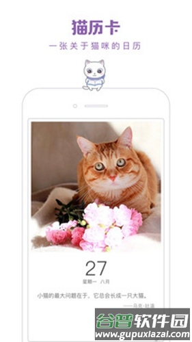 一日猫app截图5