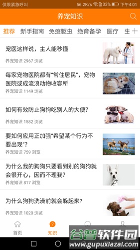 宠安安app截图1