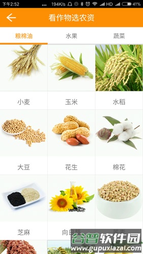 点豆安卓版截图1