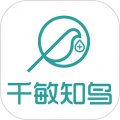 千敏知鸟appv1.1.7