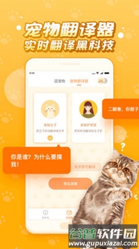 逗猫咪app截图3