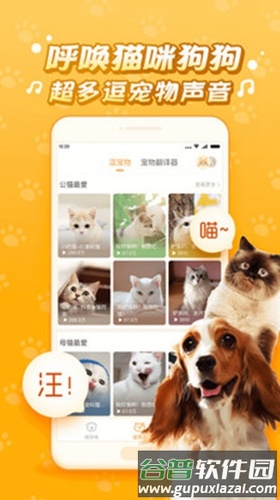 逗猫咪app截图4