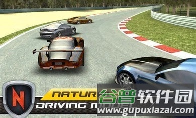 真实赛车速度官方版截图2