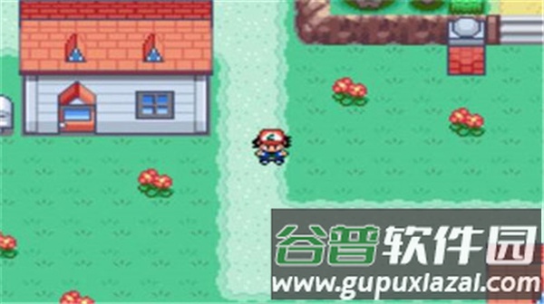 宝可梦圣灰最终版截图2