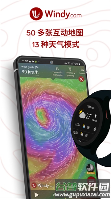 windy付费解锁版2025截图4