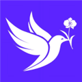 布谷网客户端v1.0.4