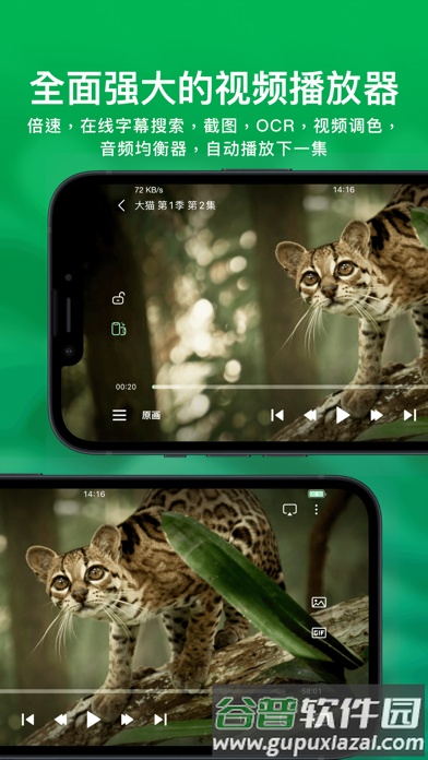 VidHub安卓客户端截图4