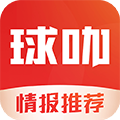 球咖appv9.4.271