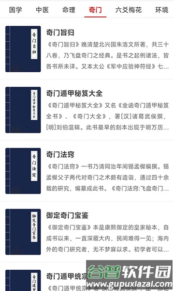 奇门遁甲排盘专业版最新版截图4
