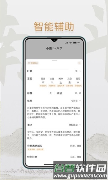 小南斗八字排盘app截图2