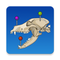 vet anatomy2025宠物v4.11.0