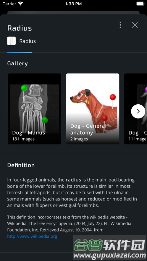 vet anatomy2025宠物截图4