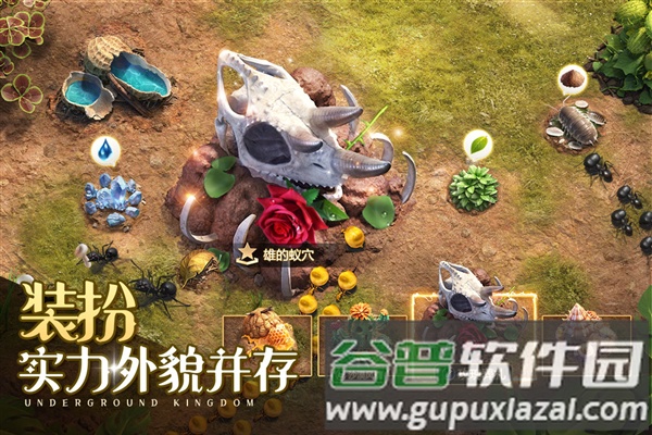 小小蚁国百度渠道服截图5