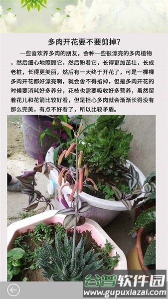 多肉花草日记app最新版截图2