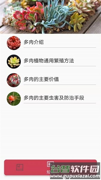 多肉花草日记app最新版截图4