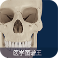医学图谱王app官方正版v1.1.0