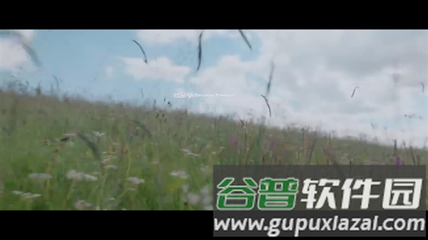 完美TV最新版截图2