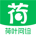 荷叶问诊app免费版v1.2.4
