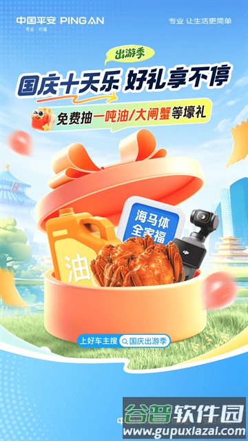 平安车险截图1