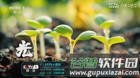 冰茶订阅专用TV版截图1
