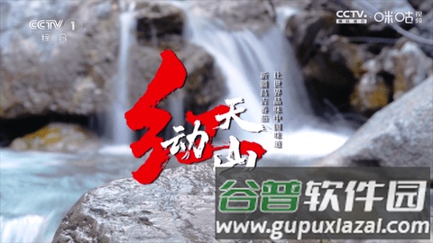 冰茶订阅专用TV版截图3