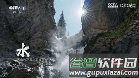 冰茶订阅专用TV版截图4