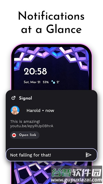 Niagara桌面启动器付费版截图4