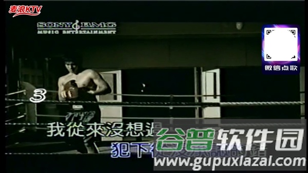 麦浪KTV电视版截图1