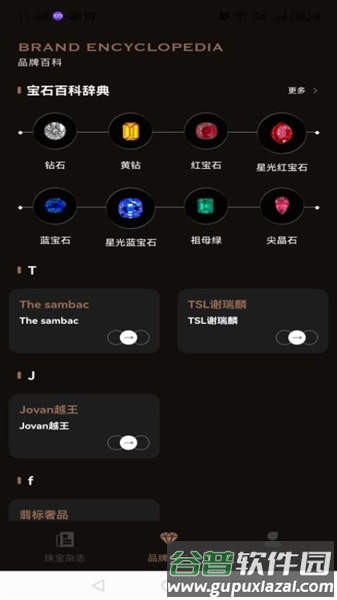 世界宝石安卓版截图2