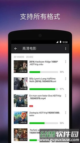 XPlayer专业版截图4