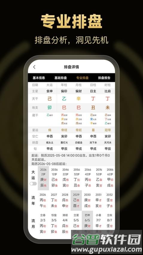 南坤八字排盘免费版截图4