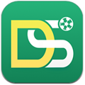 DS足球安卓版v1.2.1