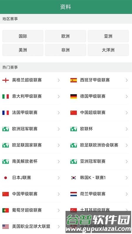 DS足球安卓版截图1