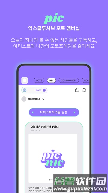 韩国Picnic投票app截图4