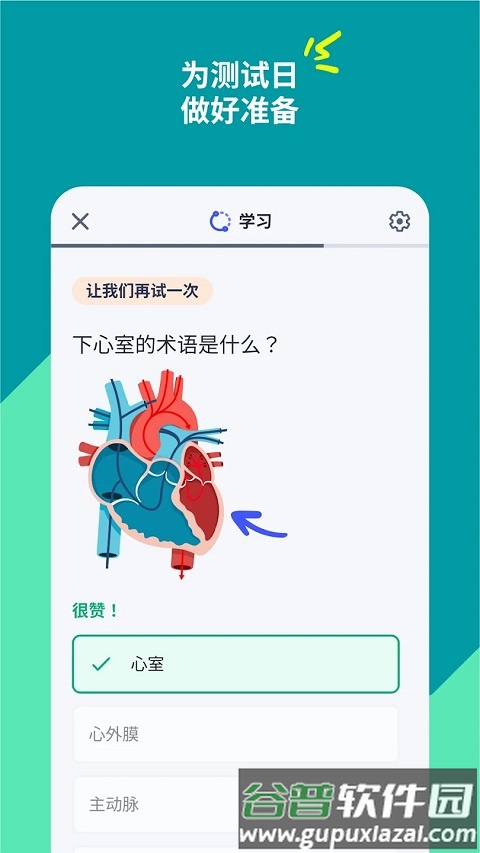 Quizlet高级付费版截图3