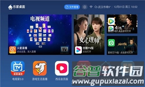乐家桌面TV版截图4
