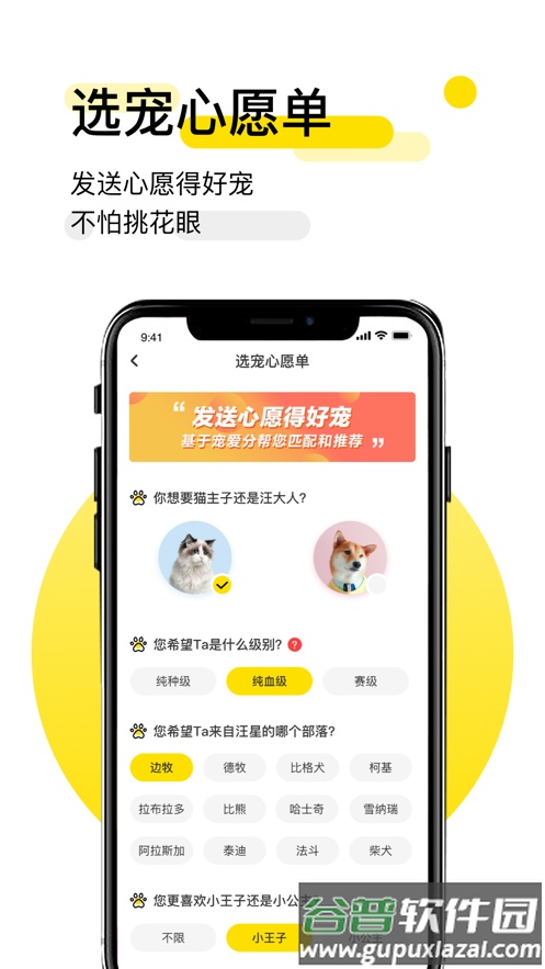 共宠客户端截图2