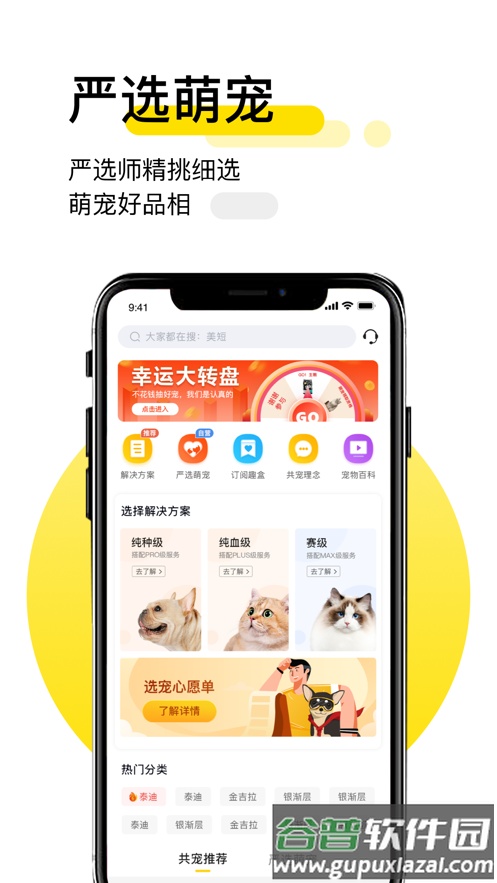 共宠客户端截图4