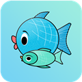 双鱼片场appv1.0.10