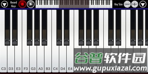RealPiano安卓版截图1