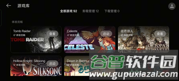 真我pc掌玩安装包截图3