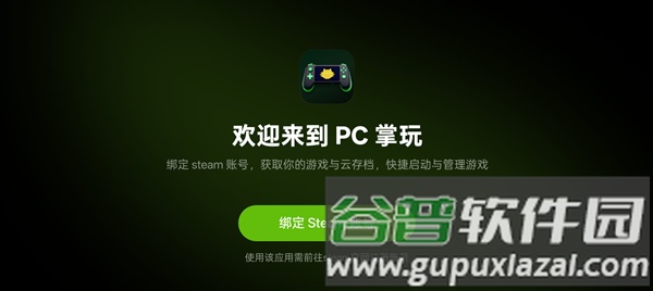 真我pc掌玩安装包截图4