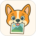 照片狗免费版v1.11.1
