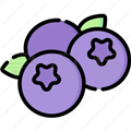 蓝莓音乐极速版免费版v2.0