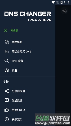 DNS Changer官方版截图1