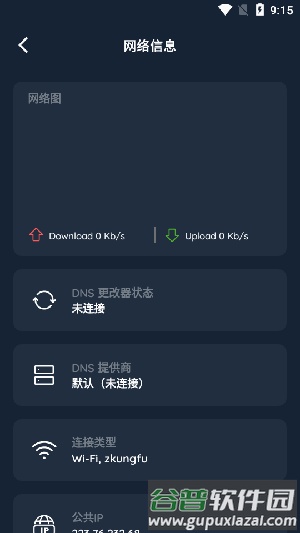 DNS Changer官方版截图2