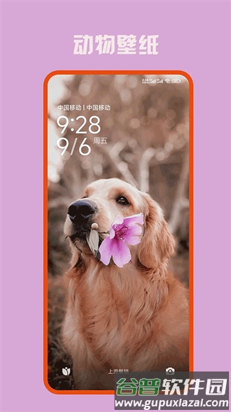 口袋免费壁纸app截图3