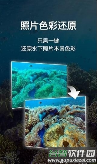 dive潜水APP截图3